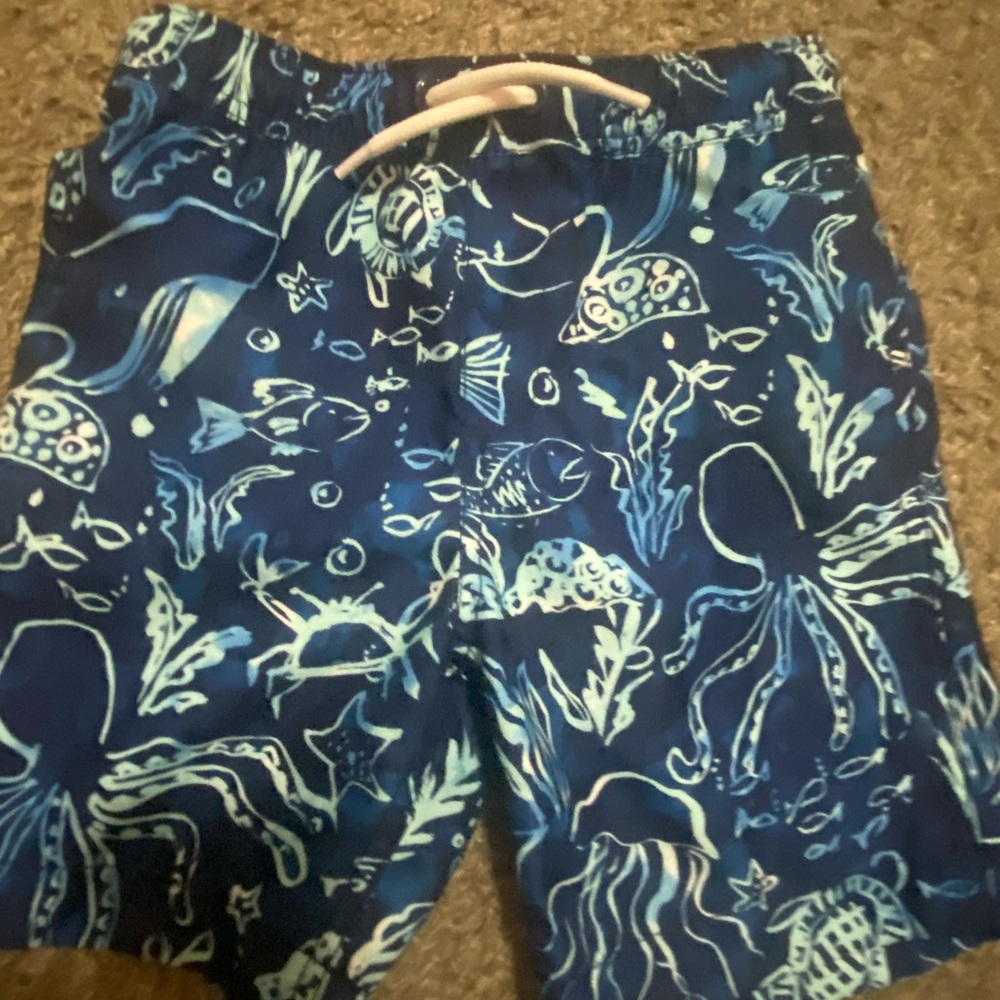Lands' End Kids Swim Trunks - Blue and White